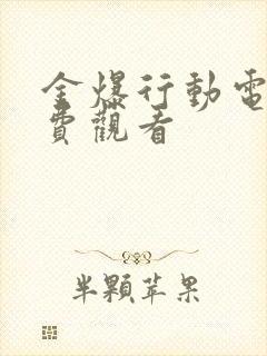 金爆行动电影免费观看