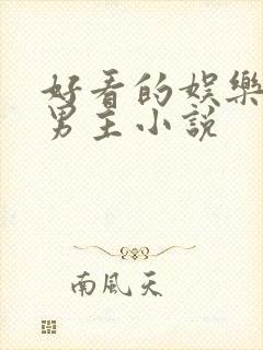 好看的娱乐圈双男主小说