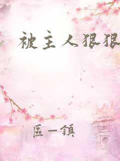 被主人狠狠调教