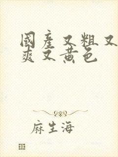 国产又粗又猛又爽又黄色