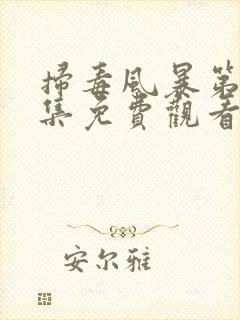 扫毒风暴第33集免费观看