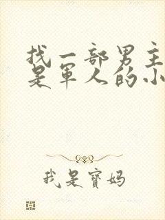 找一部男主姓叶是军人的小说