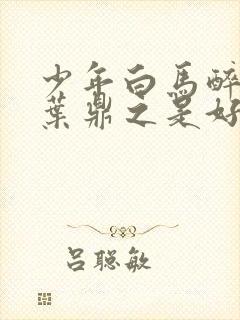 少年白马醉春风叶鼎之是好人吗