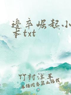 边卒崛起小说全本txt