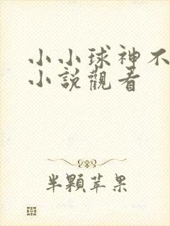 小小球神不好惹小说观看