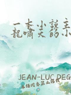 一本小说主角叫龙啸天的小说