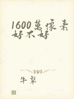 1600万像素好不好