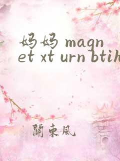 妈妈 magnet xt urn btih
