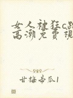 女人被狂c躁到高潮免费视频