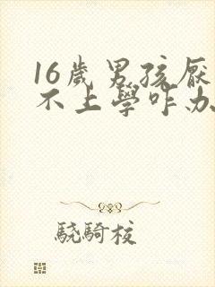 16岁男孩厌学不上学咋办