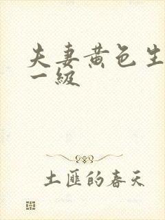 夫妻黄色生活片一级