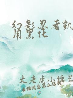 幻影忍者凯被利用黑化