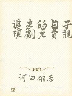 追光的日子 电视剧免费观看全集