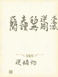 匹夫的逆袭全文阅读无删减