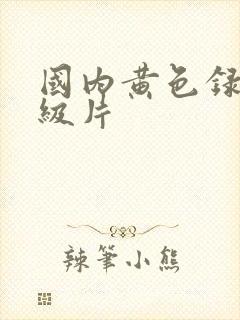 国内黄色录像一级片