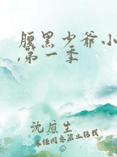 腹黑少爷小甜妻,第一季