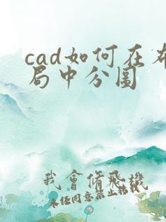 cad如何在布局中分图