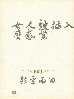 女人被插入是什么感觉