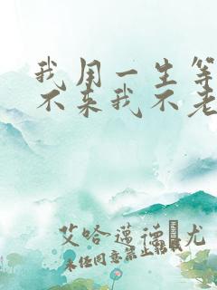 我用一生等你你不来我不老什么歌