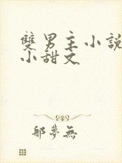 双男主小说推荐小甜文