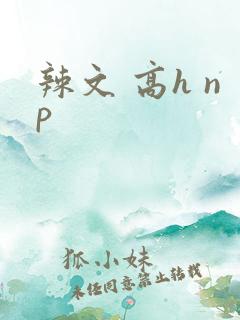 辣文 高h np