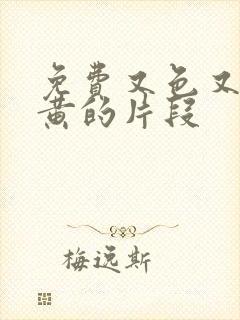 免费又色又爽又黄的片段