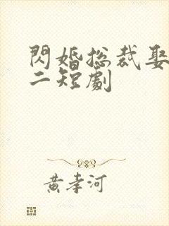 闪婚总裁娶一送二短剧