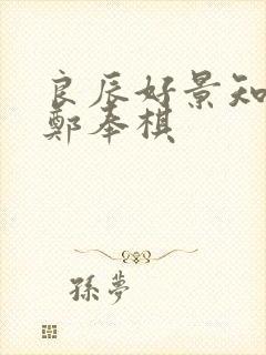 良辰好景知几何郑奉棋