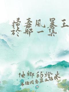 扫毒风暴王奇死于哪一集