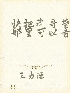 快把我哥带走在那里可以看