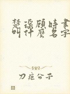 楚瑶顾时聿小说叫什么名字