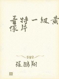 看特一级黄色录像片