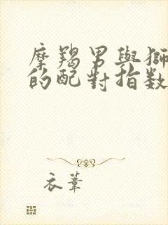 摩羯男与狮子女的配对指数