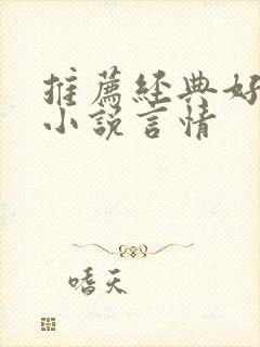 推荐经典好看的小说言情