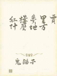 红楼梦里贾府在什么地方