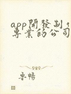 app开发制作专业的公司