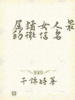 属猪女人最旺财的微信名