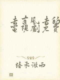 去有风去的地方电视剧免费观看