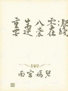 重生八零:肥女要逆袭在线免费阅读