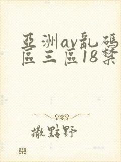 亚洲av乱码二区三区18禁