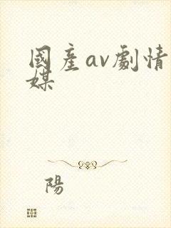 国产av剧情传媒