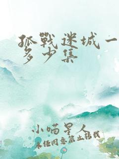 孤战迷城一共有多少集