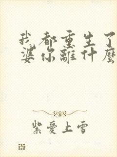 我都重生了,老婆你离什么婚?