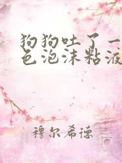 狗狗吐了一滩白色泡沫粘液还拉稀