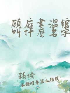 顾庭聿温绾小说叫什么名字