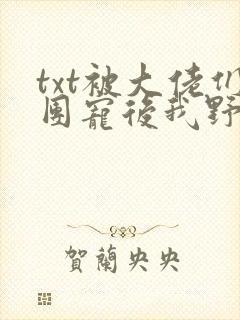 txt被大佬们团宠后我野翻了