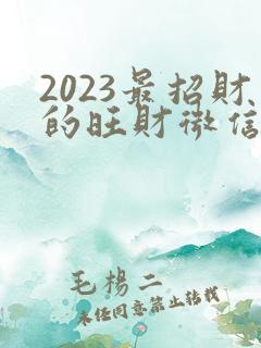 2023最招财的旺财微信头像女 财运