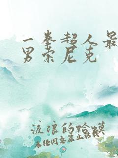 一拳超人最强之男索尼克