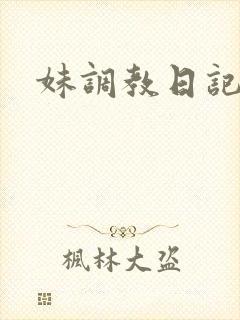 妹调教日记游戏