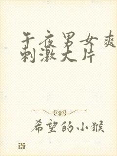 午夜男女爽爽爽刺激大片